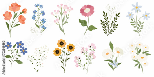 Collection of delicate and colorful hand drawn floral illustrations on a white background