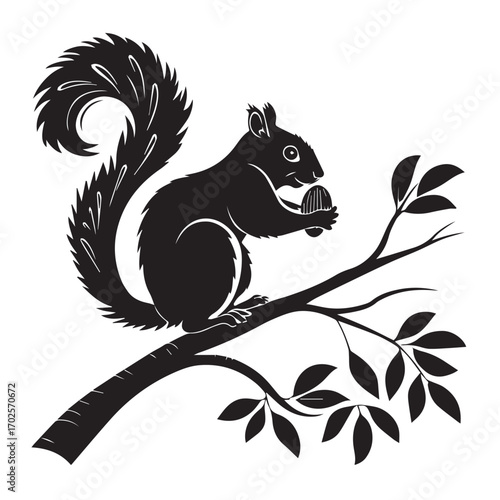 Black silhouette of a squirrel holding a nut while sitting on a tree branch, isolated on white background