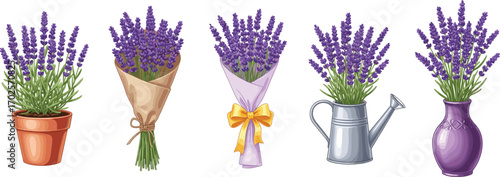 Lavender flower arrangements in pots, bouquets, watering can, and vase, floral decoration set, botanical herb illustration, flat vector art, CAD drawing style, decorative design