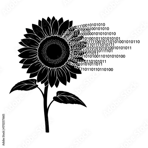 Sunflower transforming into digital binary code data stream