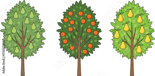 Pear and orange fruit trees, orchard plant illustration, seasonal harvest concept, nature and agriculture art, botanical farming design, CAD drawing flat vector illustration