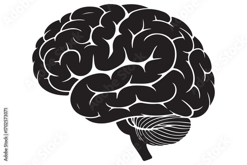 Brain silhouette icon simple vector illustration isolated on white background for medical concepts
