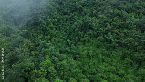 Aerial drone shot over primary Jungle tropical rain forest in Nan, Thailand. Aerial view, moving over a rainforest tree canopy in a slow pace beautiful green nature background of a tropical forest.	