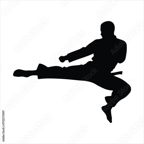 Dynamic karate silhouette capturing martial arts action kick athlete training