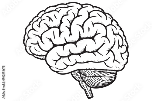 Brain silhouette icon simple vector illustration isolated on white background for medical concepts
