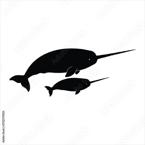 Two silhouettes of narwhal whales with long tusks swimming together ocean marine mammals