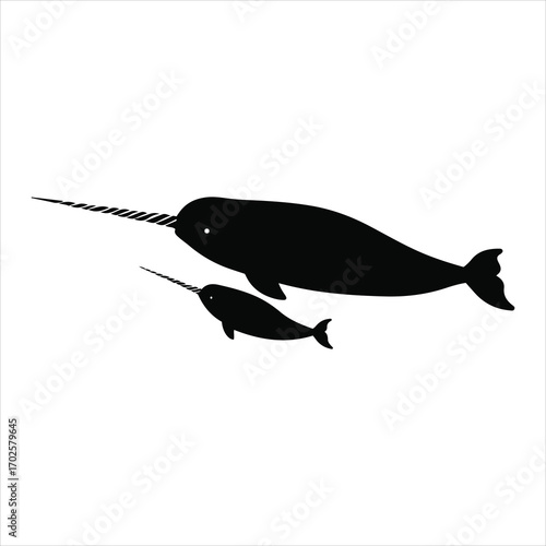 Two silhouette narwhals ocean mammals arctic unicorn of the sea swimming majestically