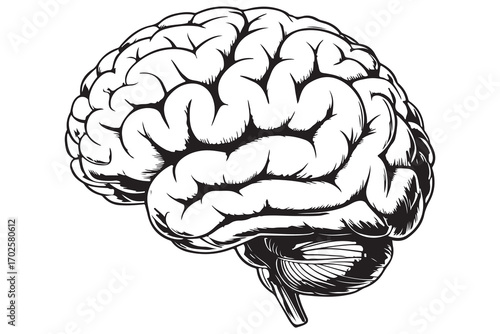 Brain silhouette icon simple vector illustration isolated on white background for medical concepts

