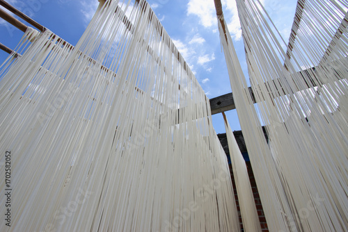 Handmade somen noodles, a traditional food from Huatan Township, Changhua County, Taiwan, are hung to dry in the sun.