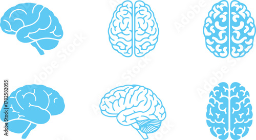  brain illustration set the image shows a set of brain illustrations in different views the brains are a simple design, and the different views are easy to distinguish