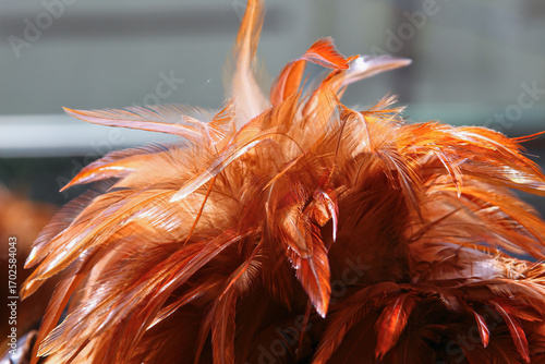 Vibrant chicken feather dusters on sale in New Taipei City, Taiwan, during a clear spring day, catching the attention of many passersby with colors.