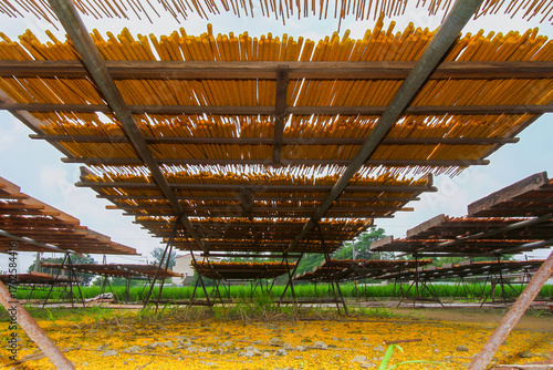 Rows of incense sticks dry under the sun on wooden racks. The outdoor setting highlights traditional handmade production. Xianxi Township, Taiwan.