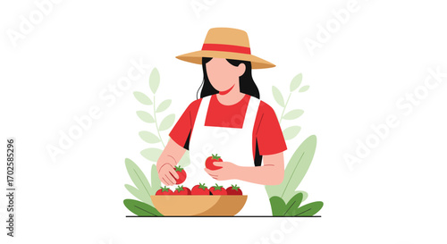 Woman Harvesting Tomatoes From Her Garden in an Artistic and Simple Illustration