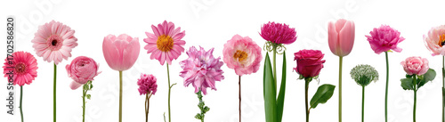Arrangement of various pastel pink flowers on black background