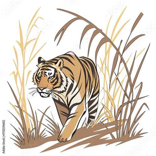 Tiger Walking Through Tall Grass And Reeds On White Background animal wildlife