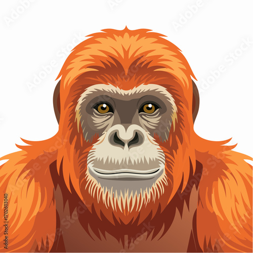 Orang-Utan