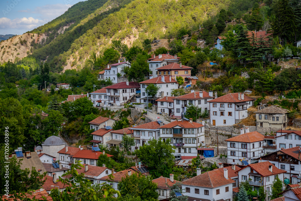 Naklejka premium Hillside houses of Göynük