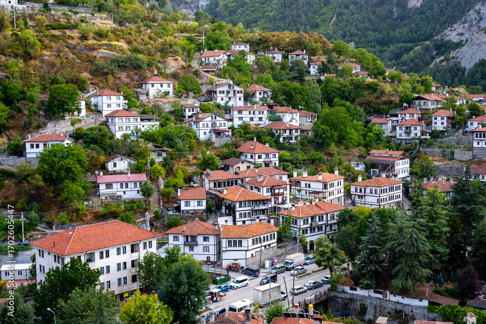 Naklejka premium Göynük hillside homes with greenery