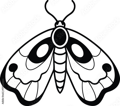 Elegant moth vector illustration with intricate wing patterns and detailed antennae on white background