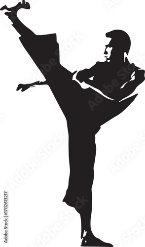 Silhouette of a martial artist performing a high kick with a determined expression martial arts karate