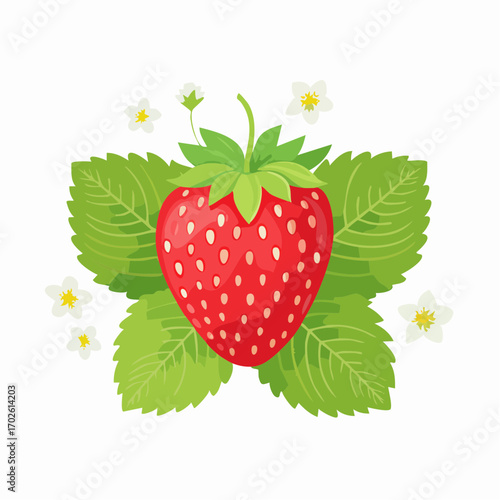 Erdbeere