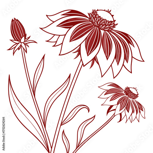 blanket gaillardia gallo red with leaves 
