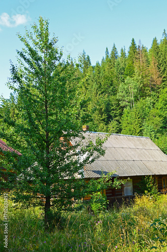 Old wooden house