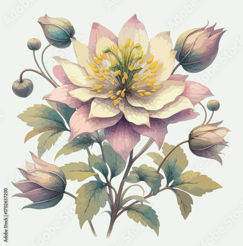 Ilustracion de flor en rosa pastel 