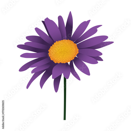 Vibrant Aster Blossom: A striking, fully-bloomed aster bursts forth, its radiant purple petals encircling a golden center, symbolizing beauty and resilience.