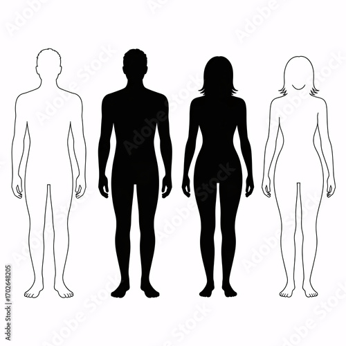 Diverse human silhouettes offer versatile design options for medical, fashion, or educational concepts.