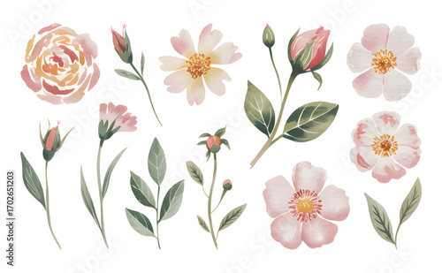 Hand paint pastel floral elements set isolated for textile design.