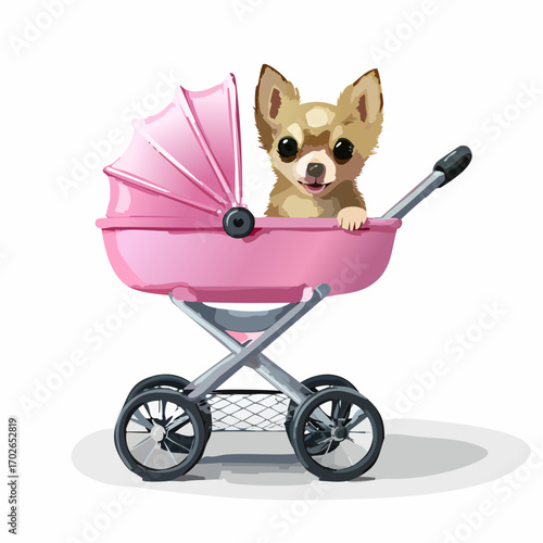 niedlicher Chihuahua