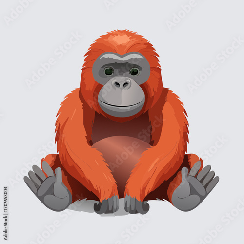 Orang Utan