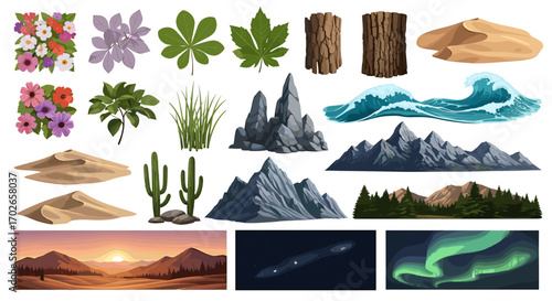 Illustration featuring flowers, leaves, tree bark, sand dunes, cacti, mountains, and night sky scenes on transparent background