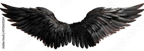 Dark, Detailed Angel Wings