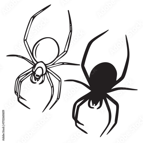 Hand drawn vector doodle of Halloween spiders, web