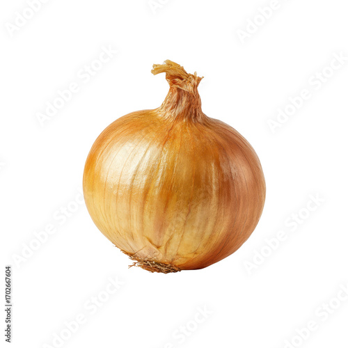 Wallpaper Mural Single Fresh Brown Onion Isolated on Black Background Torontodigital.ca