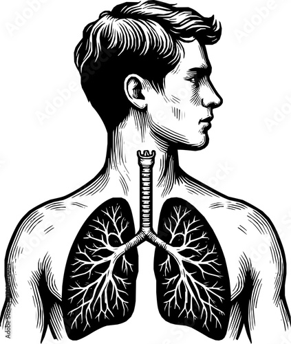 Black and white vector of human lungs in anatomical line art style, simple minimalist design, isolated on white background, scalable illustration
