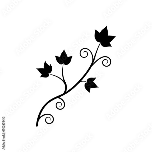 Silhouette of a climbing plant with curly tendrils on transparent background