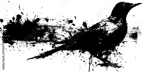 Grunge silhouette of crow with black ink splatter