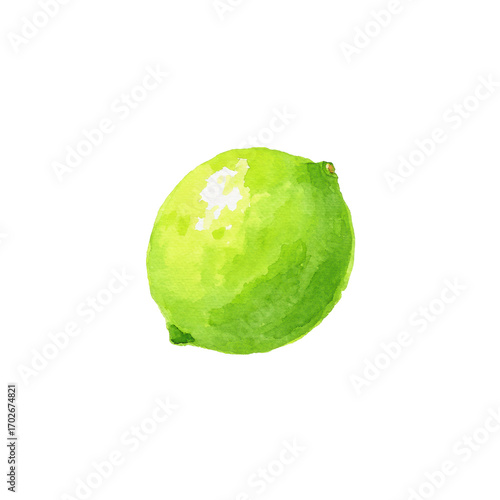 Vibrant watercolor lime on black background, cut out