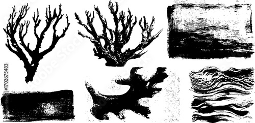 Black ink organic texture set with branching veins and abstract patterns for creative design