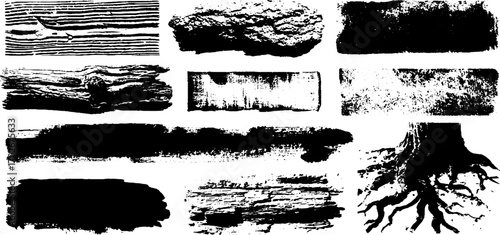 Organic texture set featuring black ink tree bark lines and natural elements