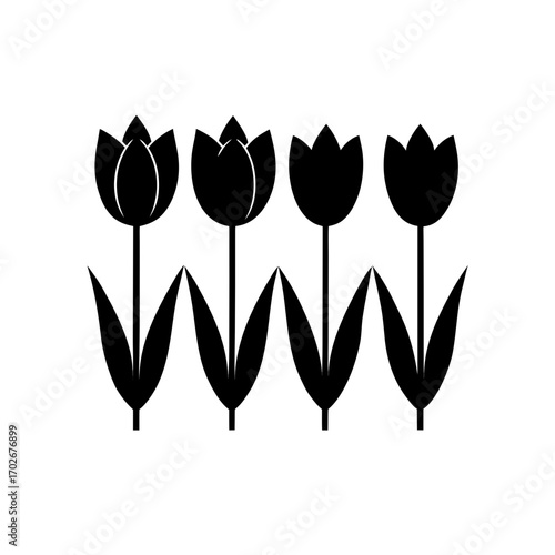 Illustration of four black tulip flowers in a row on transparent background