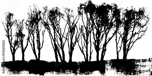 Mysterious black ink silhouette of dead forest with dry trees