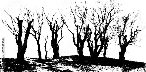 Mysterious haunted forest silhouette with twisted trees