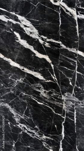 Intricate black marble pattern with prominent white veining,