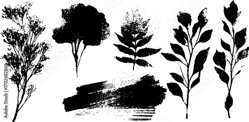 Black ink silhouette of abstract plants and floral designs for artistic projects