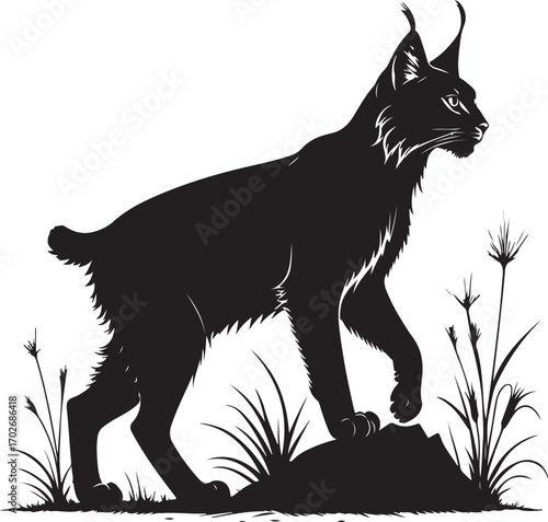 Majestic Wild Lynx Silhouette
