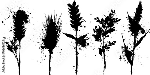 Black ink silhouette set of cereals: wheat and oats with artistic splatter design